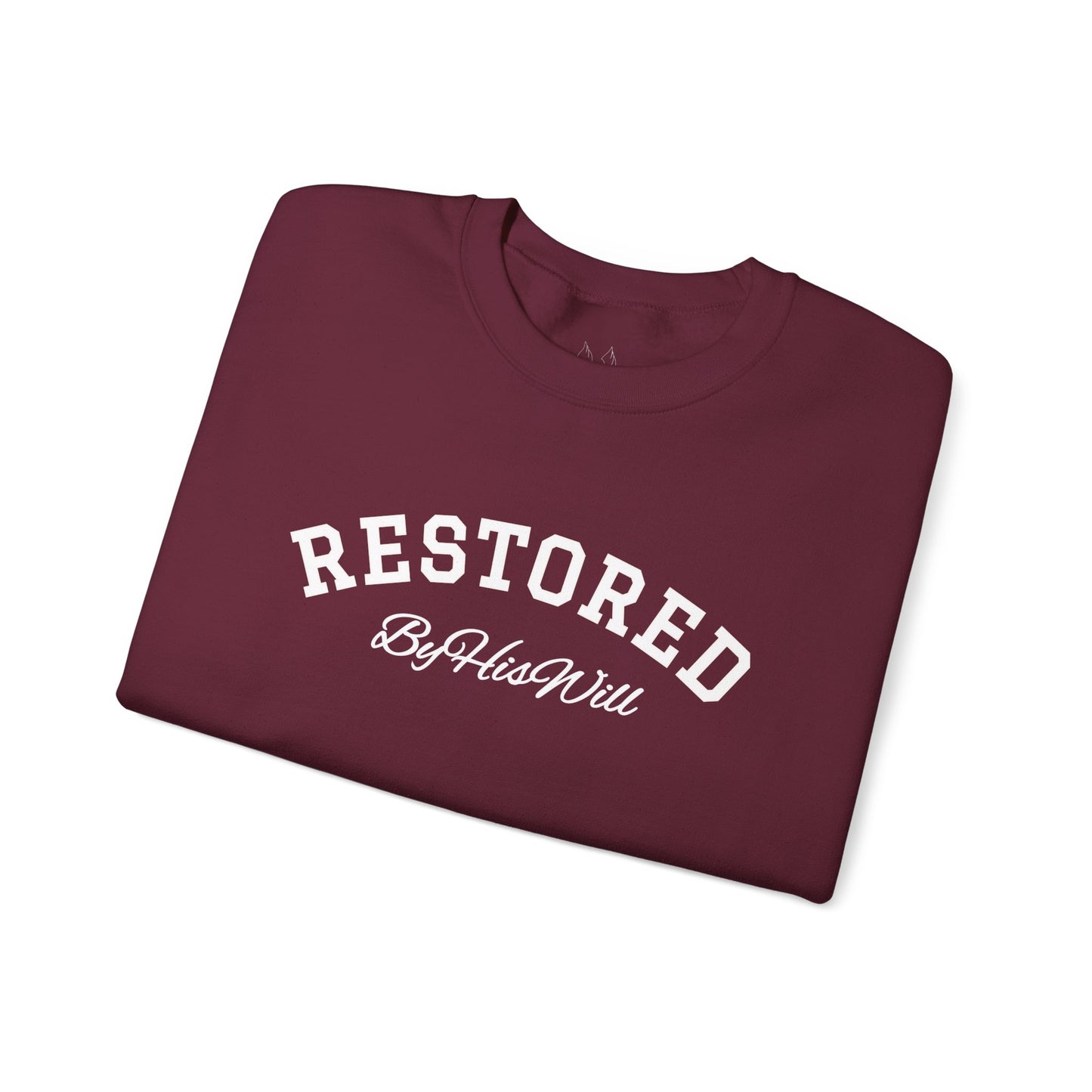 By His Will Brand | Child of God Collection | Restored Crewneck Sweatshirt